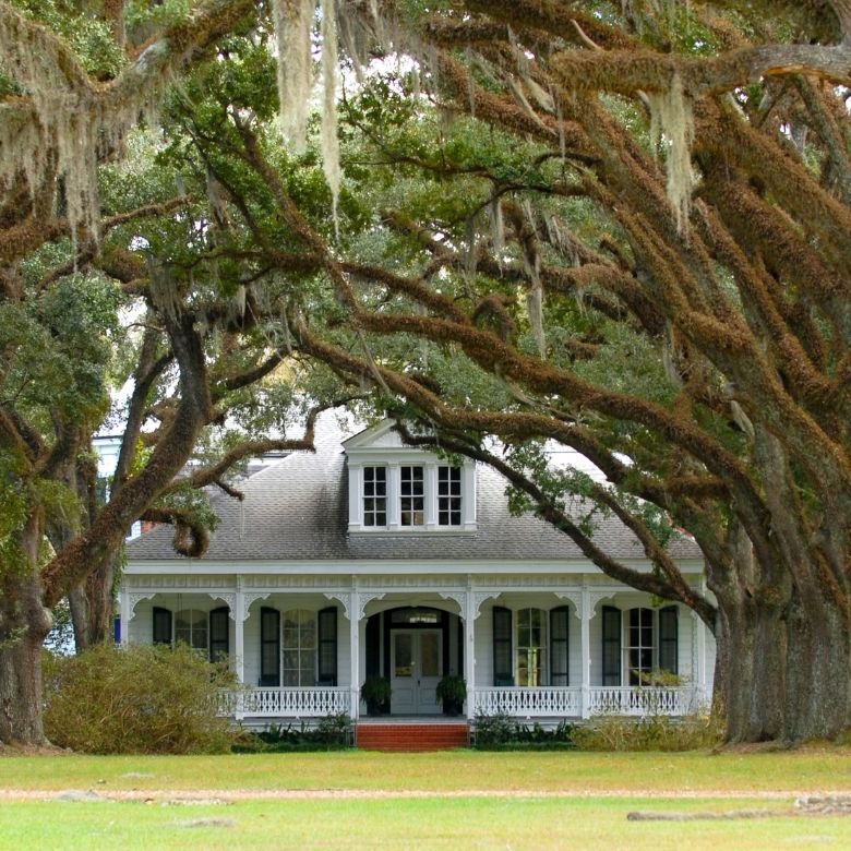 House with oak trees